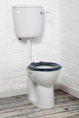 Raised Height Low Level Toilet